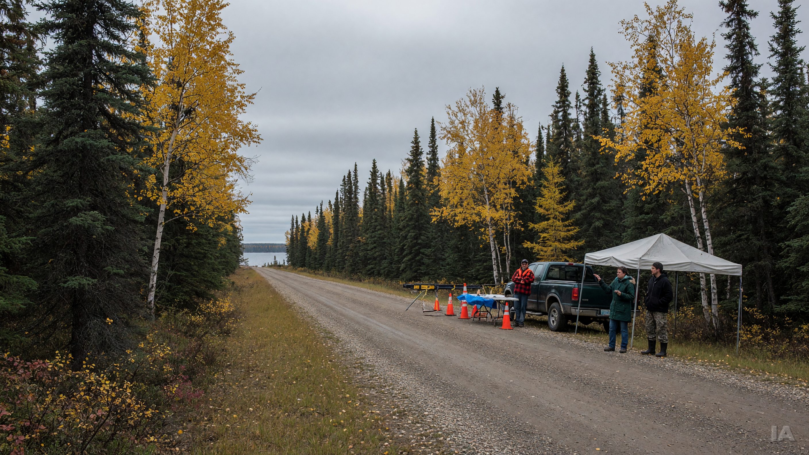 Bloodvein contre les chasseurs d'orignaux : qui a le dernier mot sur la chasse en territoire autochtone ?
